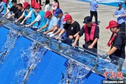 梦解大全2025年全国水生生物同步增殖放流活动在福建举行