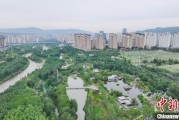 梦解大全西宁市举办六五环境日主题宣传活动