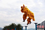 梦解大全（文化中国行）壮乡狮舞闯南洋：脚踏“云桩” 饮誉海内外
