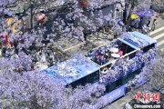 梦解大全2024年云南重点高原湖泊水质稳定 抚仙湖达Ⅰ类